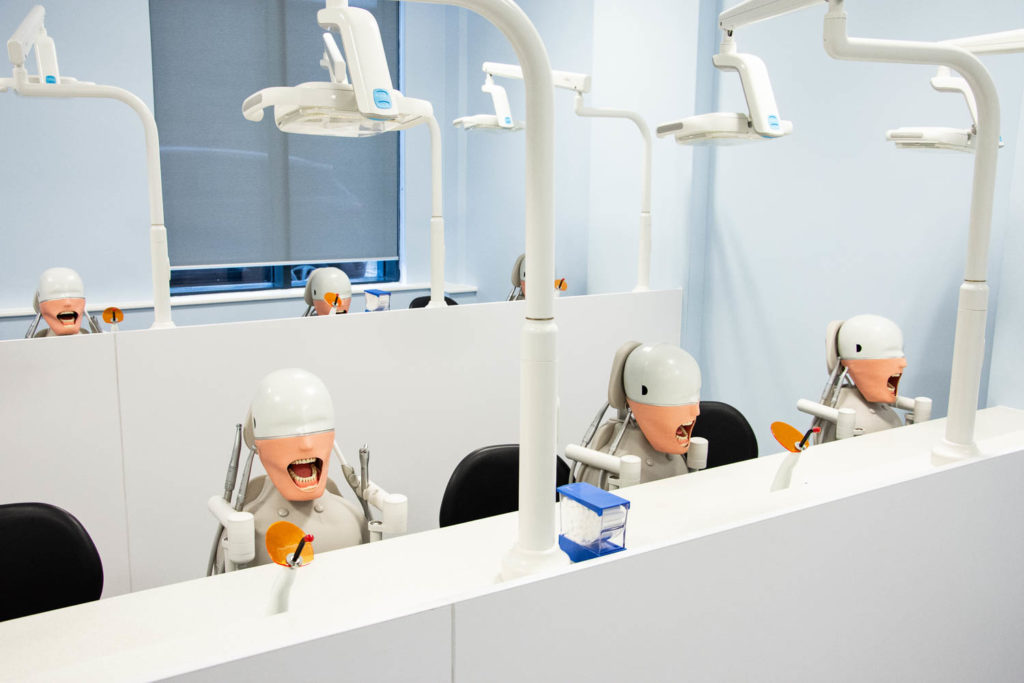 dental mannequin heads used to practice dentistry