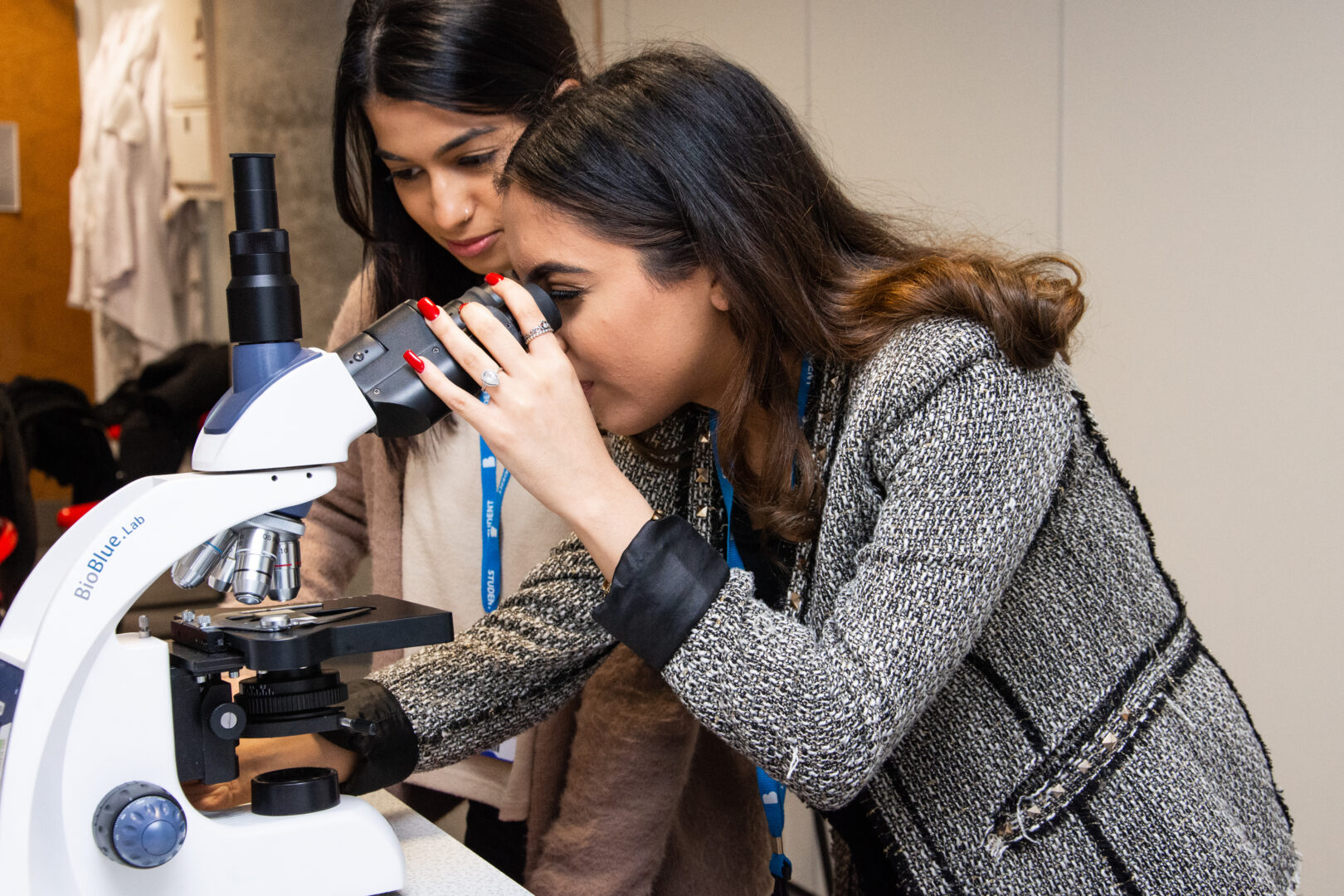 Microscope examine