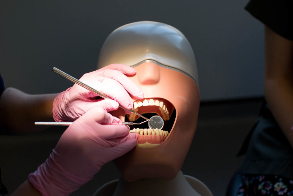 dental student working on a practise dental head