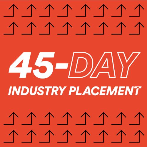 45 day industry placement