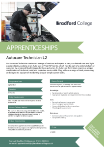 Level 2 Autocare Technician Leaflet