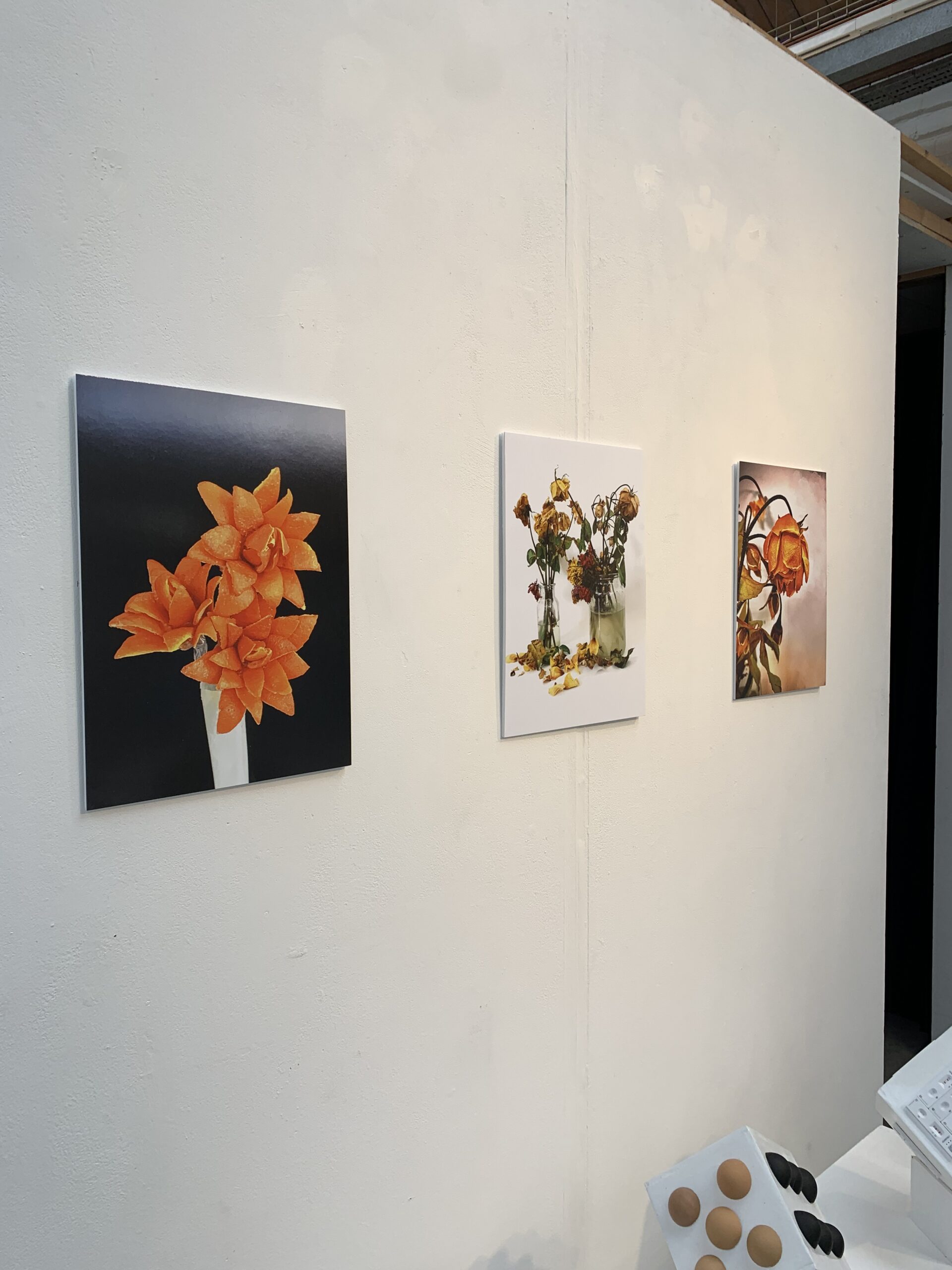 Degree Students and Artists Showcase Exceptional Work in Progress!