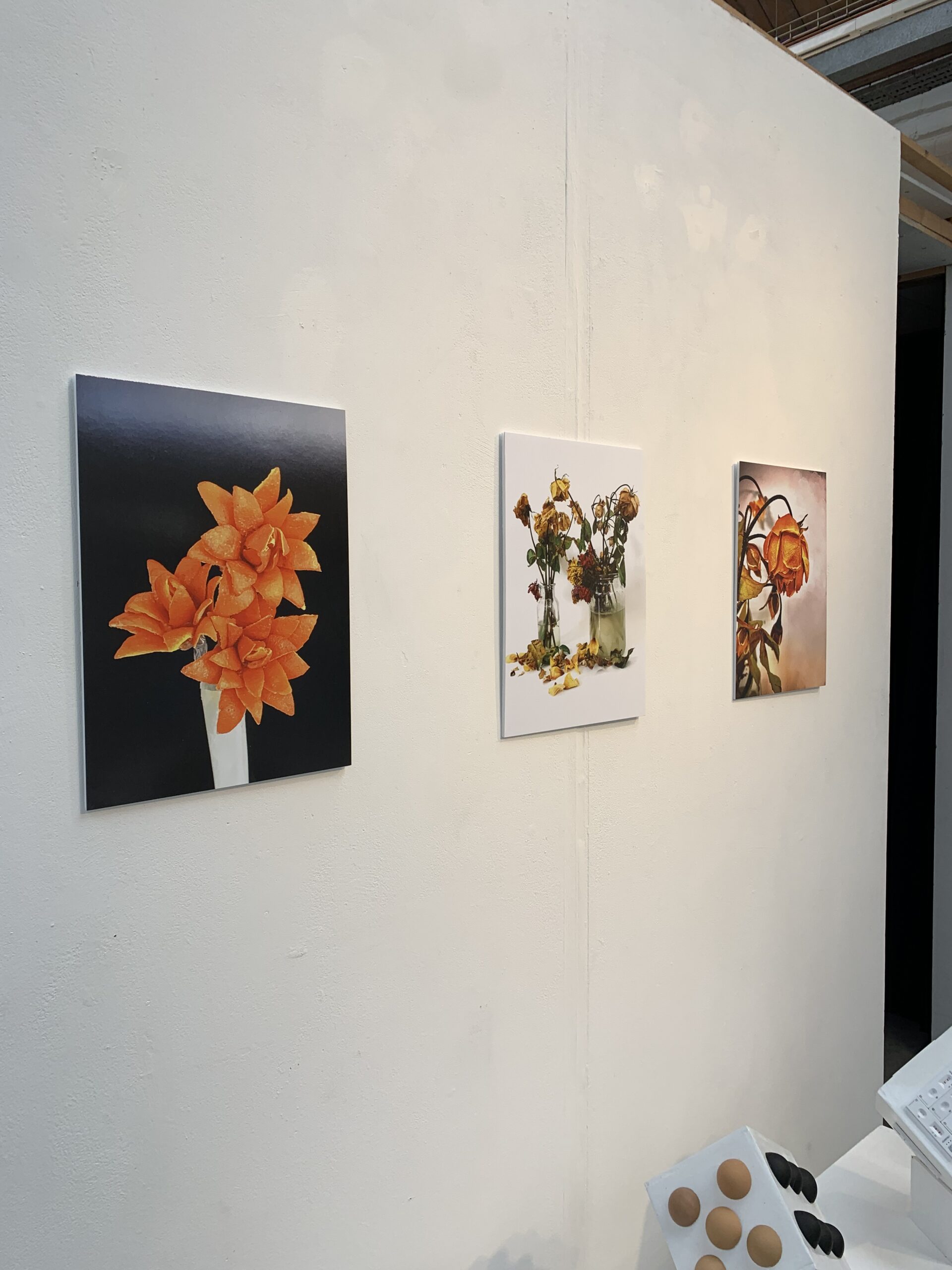 Degree Students and Artists Showcase Exceptional Work in Progress!