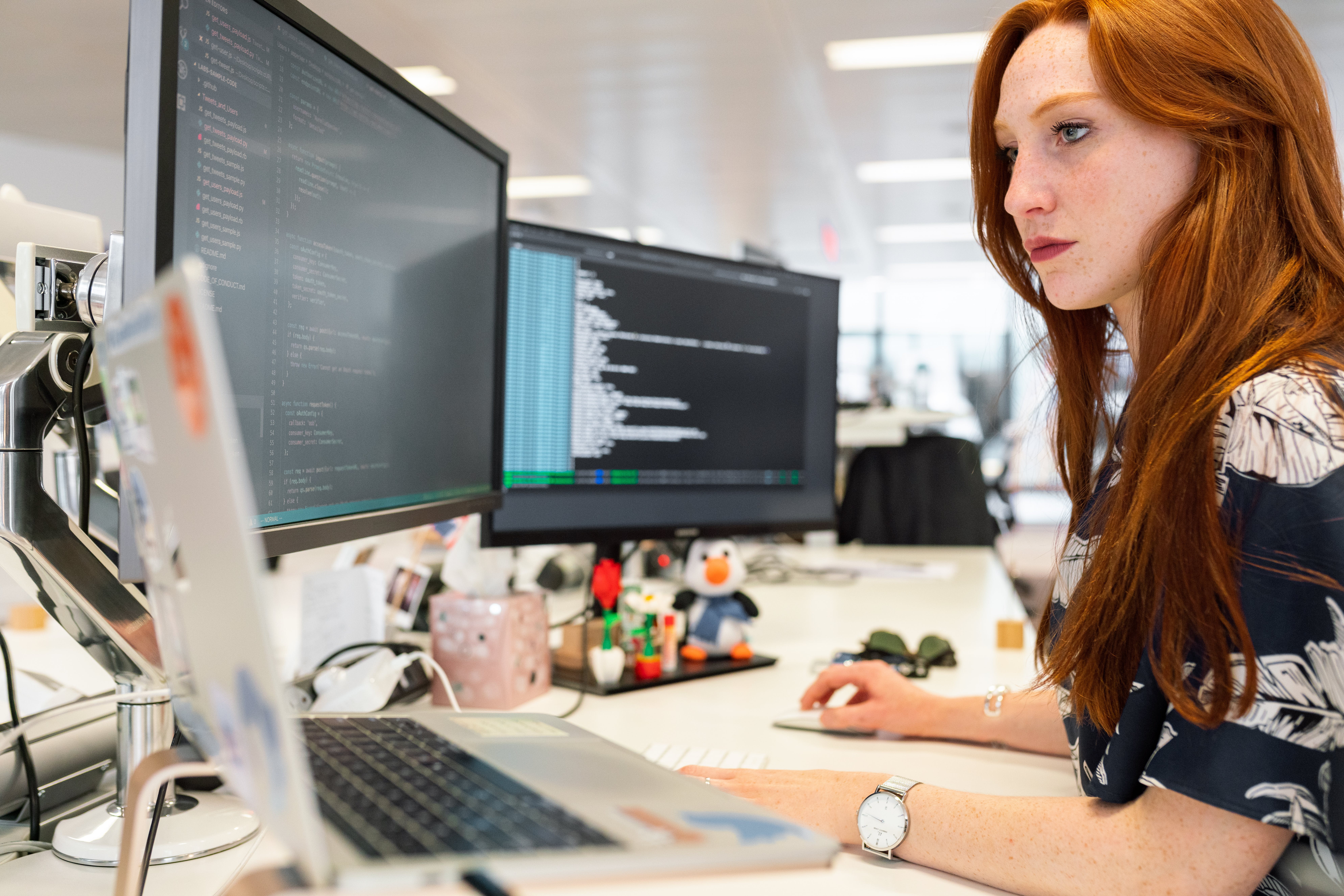 Software Development (Ambition)