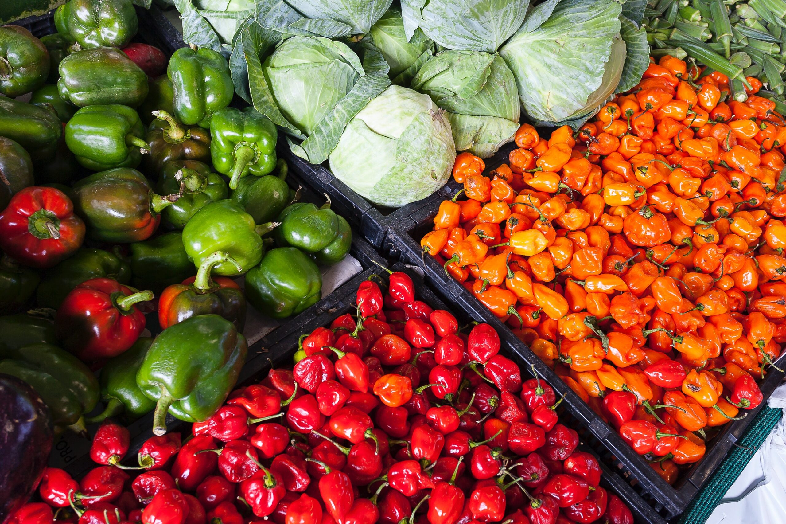 Healthy Food Choices
