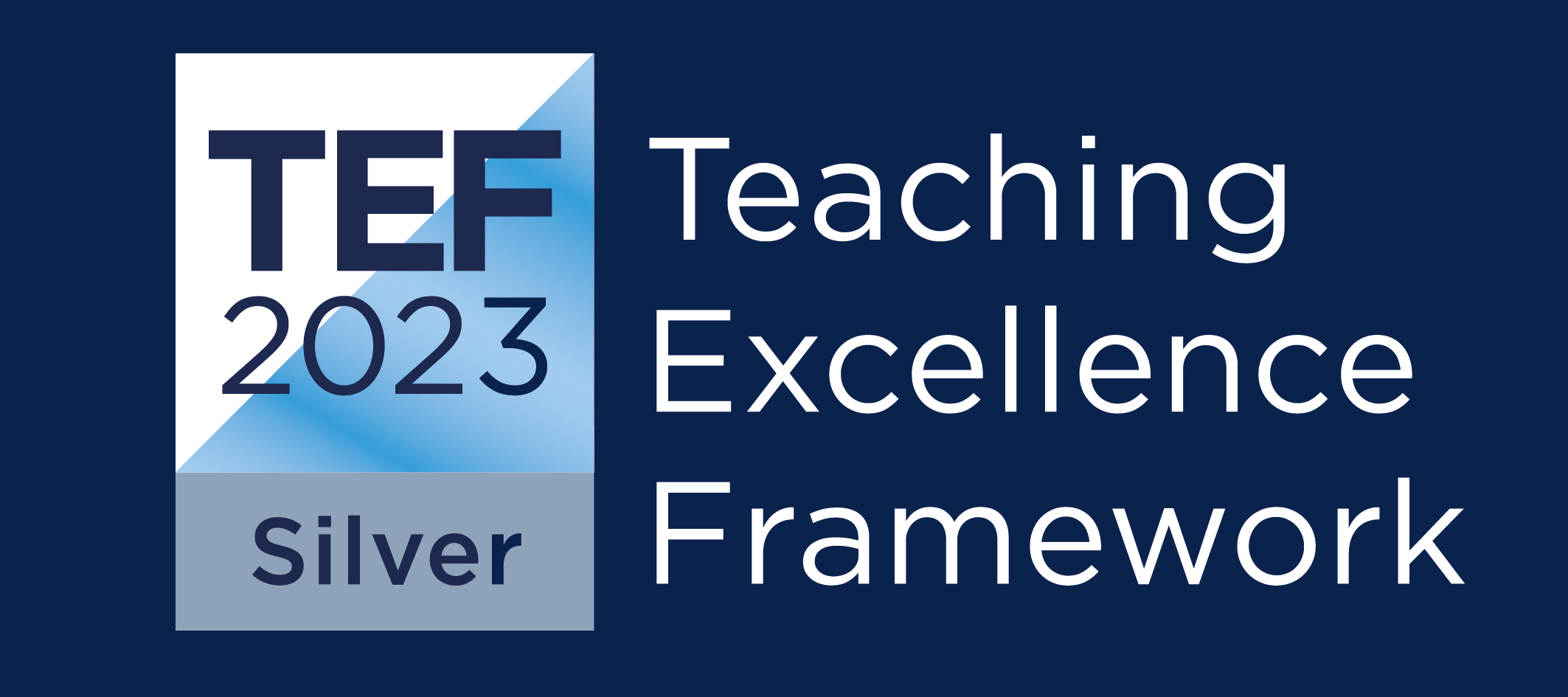 TEF Silver 2023 logo