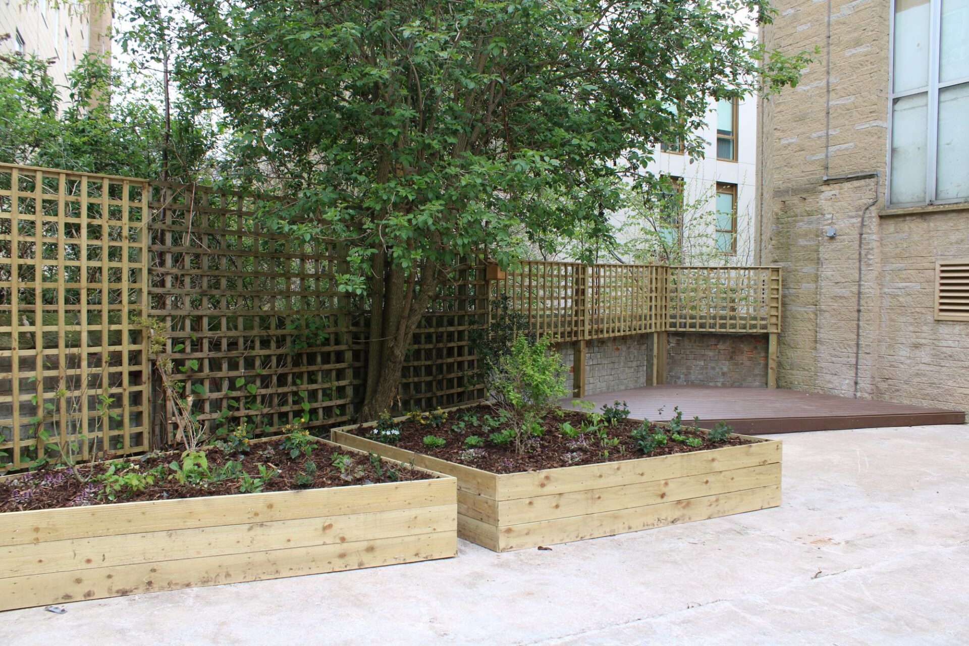 Image shows a new garden section with raised beds, trellis as a backdrop and a raised decking area to view Bradford Beck.
