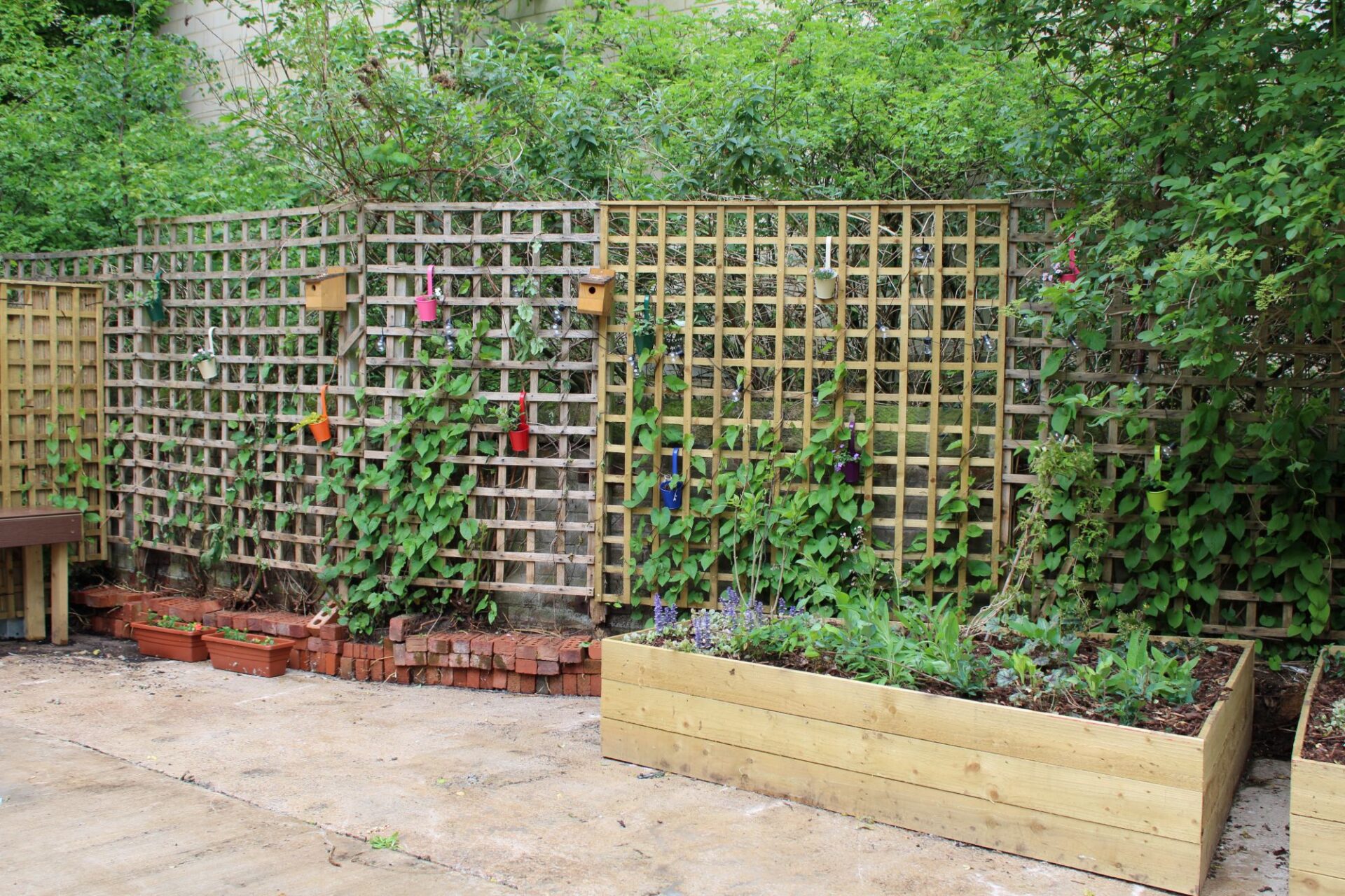 Image shows a new garden section with raised beds and trellis as a backdrop. Bird and bug houses are hung on the trellis.
