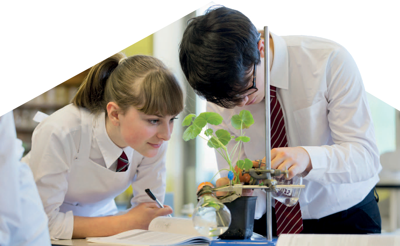 Two biology students studying a plant and taking notes
